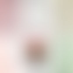 第23回閑谷マルシェ