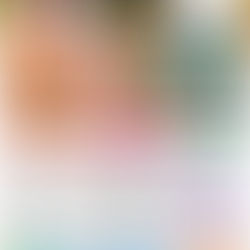 第31回閑谷マルシェ