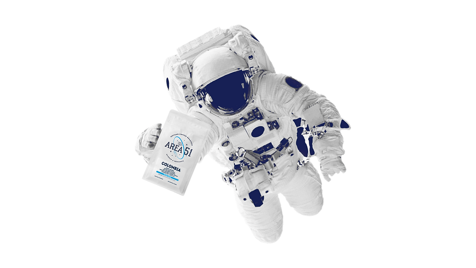 Untitled design (9).png