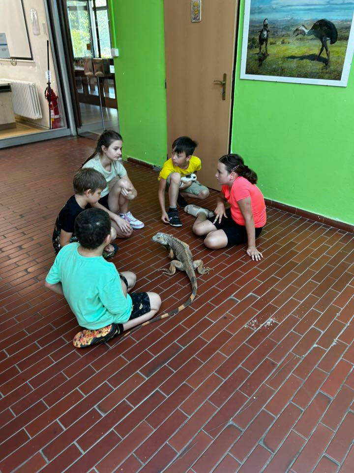 515014152_1238080391662242_5284367605564861162_n