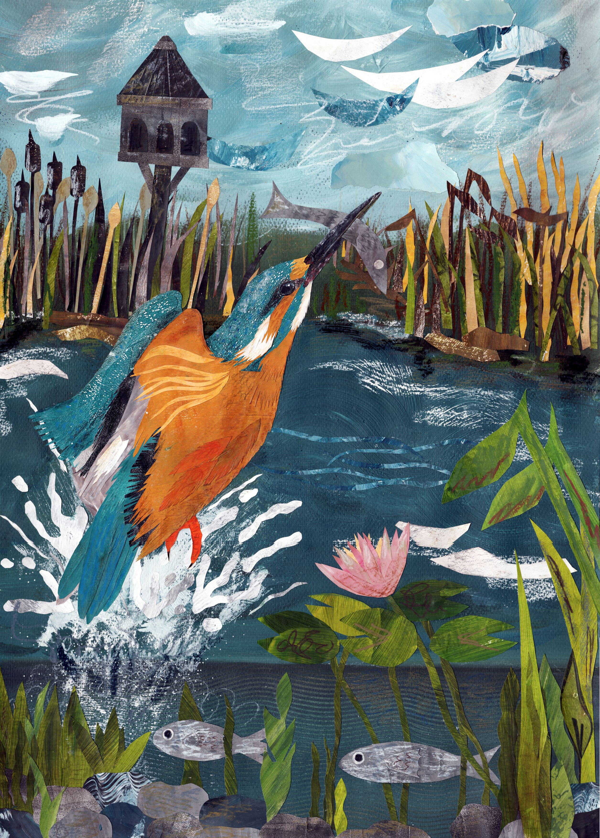 Fine Art Print 'Kingfisher at Wilder Lake'
