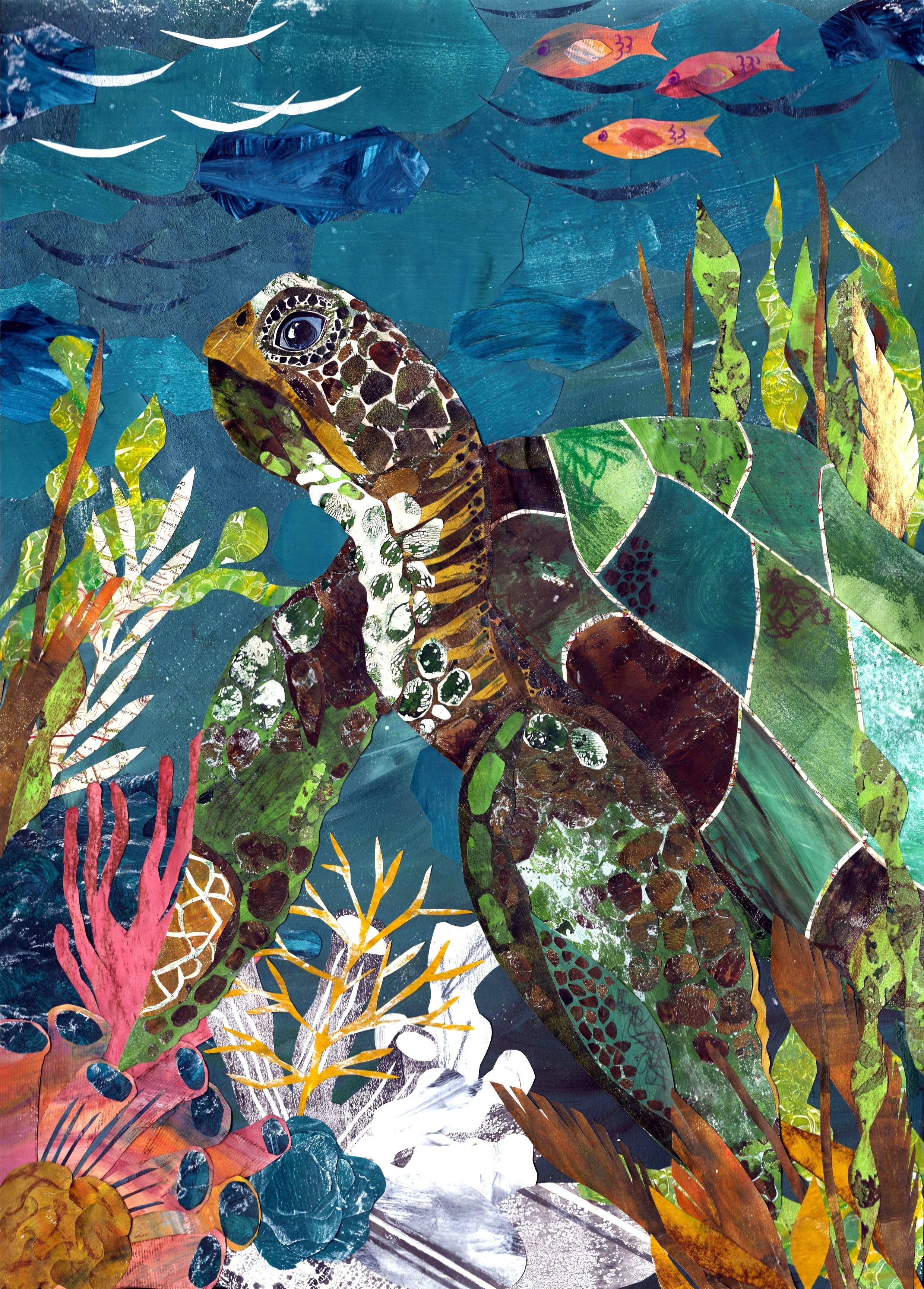 Fine Art Print 'Turtle and Tide'