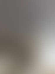 Let's talk about Peeing and Pooing