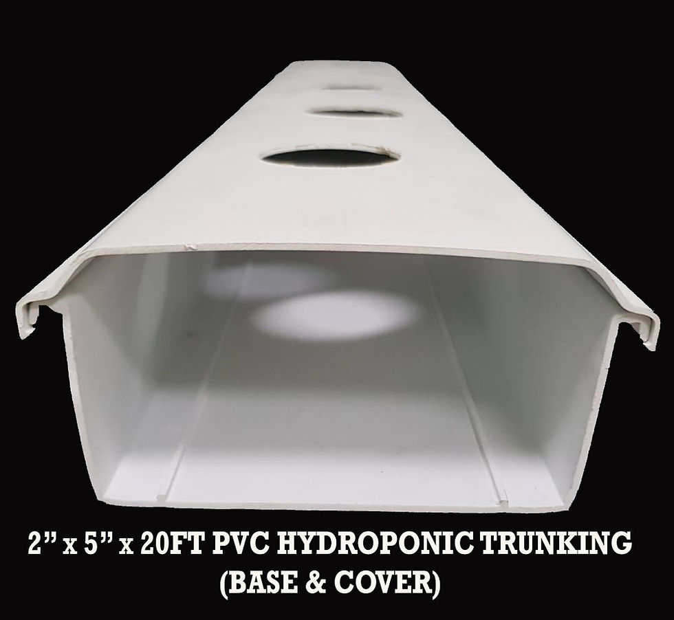 2X5X20FT HYDROPONIC TRUNKING (B&C).jpg