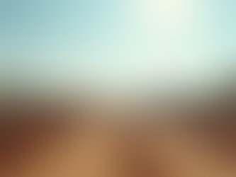 Top Land Clearing Techniques for Your Property