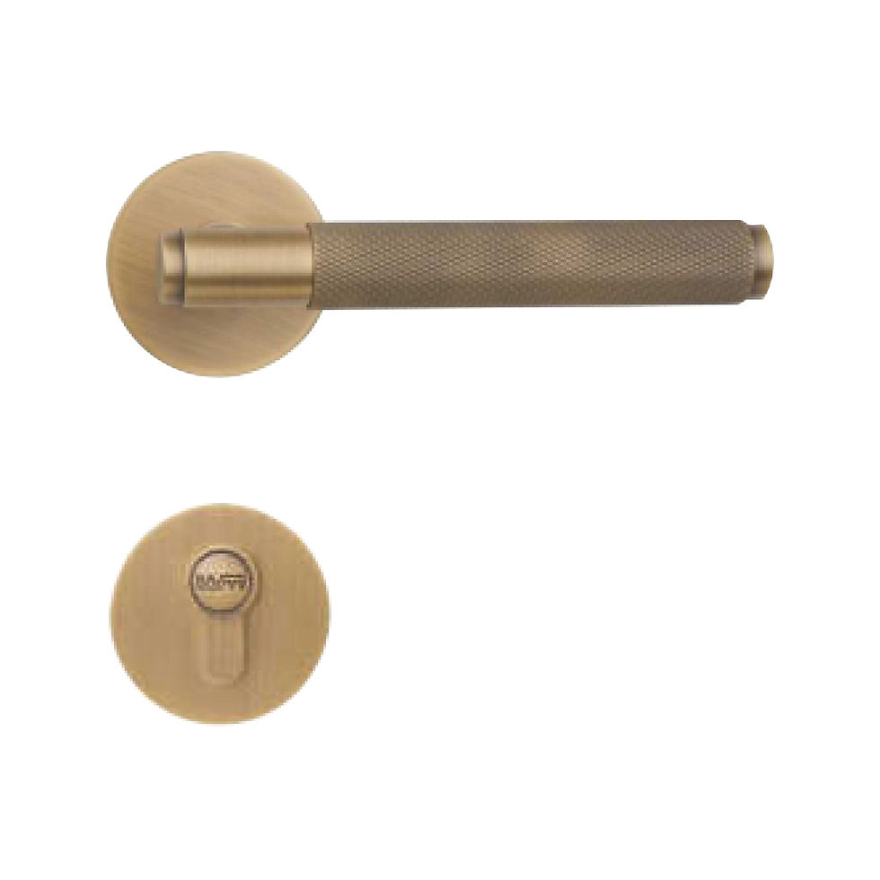HANDLE LEVER OPTIONS-11.jpg