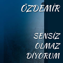 sensiz olmaz diyorum.jpeg