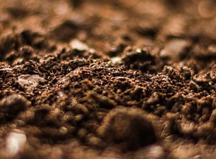 スクリーンショット (596).png