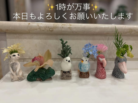 第23回放送(2025.11.23)の告知