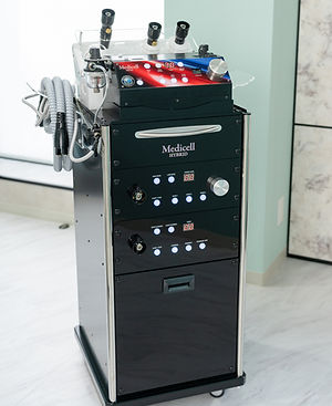 Pawfect One(ポーフェクトワン)は、可愛い様々なペット関連グッズを販売致しております。是非ともご来店くださいませ。