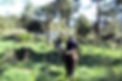 paseos-hipica-valle-de-iruelas-10.jpg