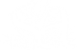 Soviia_Logo_logo2_white-01-compressor.pn
