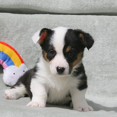 6WKS_LUNA.jpg