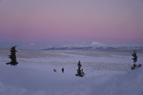 Somewhere near Glacier View | Alaska | 12.18.2022