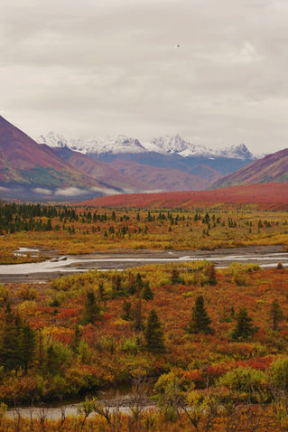 8144EEAF-C5C0-47F9-87B6-320525E8EC2C.jpeg