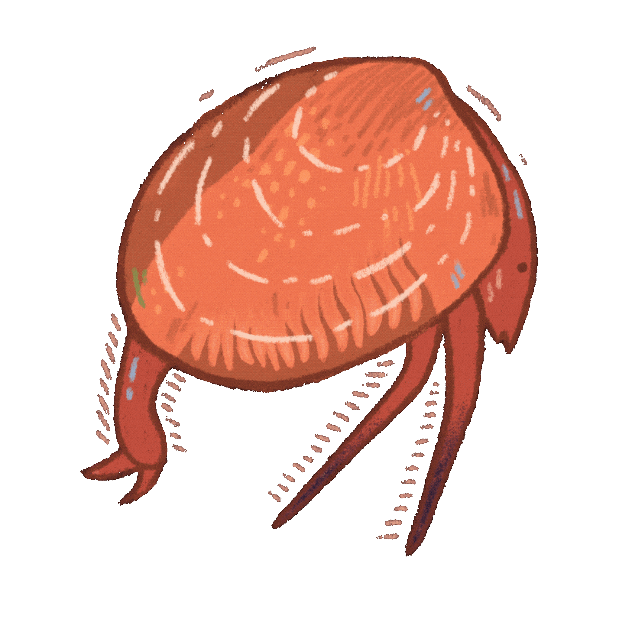 Untitled_Artwork 4 (1).gif