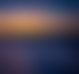 Holistic Vision of the World