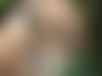 Lo status della Lince in Europa