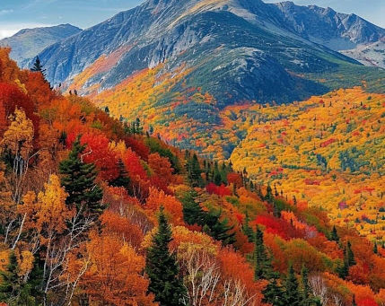 Sul concetto del valore in sé della Natura - On the concept of the value of nature in itself