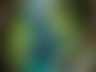 Lo “sviluppo” tecnologico e scientifico.  Un mondo in antitesi alla natura.