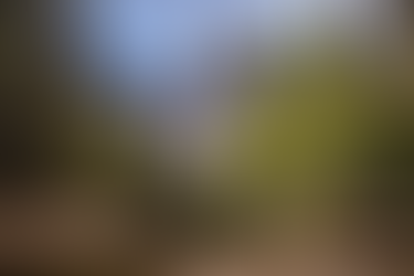 The concept of Wilderness,  a new need for conservation  areas and natural resources