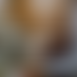 Just Married? 6 Estate Planning Essentials for Newlyweds—Part 1