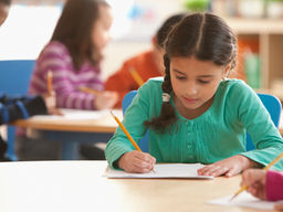 PROGRAMA EDUCACIONAL