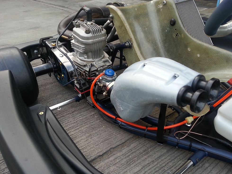 ภาพขนาดย่อ: Gillard - IAME 125cc