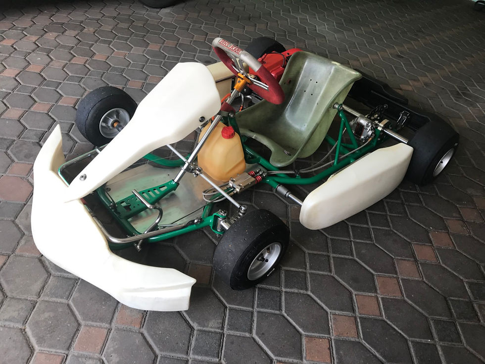 ภาพขนาดย่อ: Tony Kart - Rookie 2014