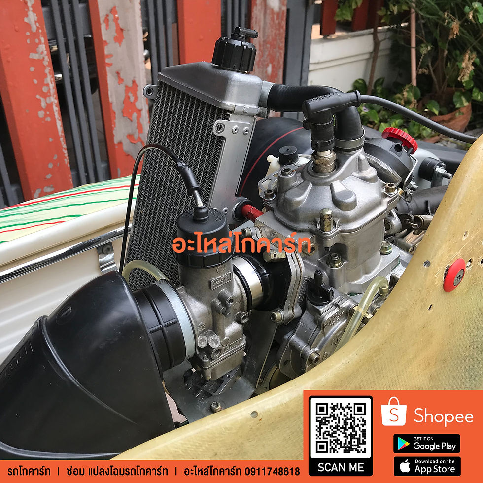 ภาพขนาดย่อ: Tony Kart EVRR - Rotax Max 125cc