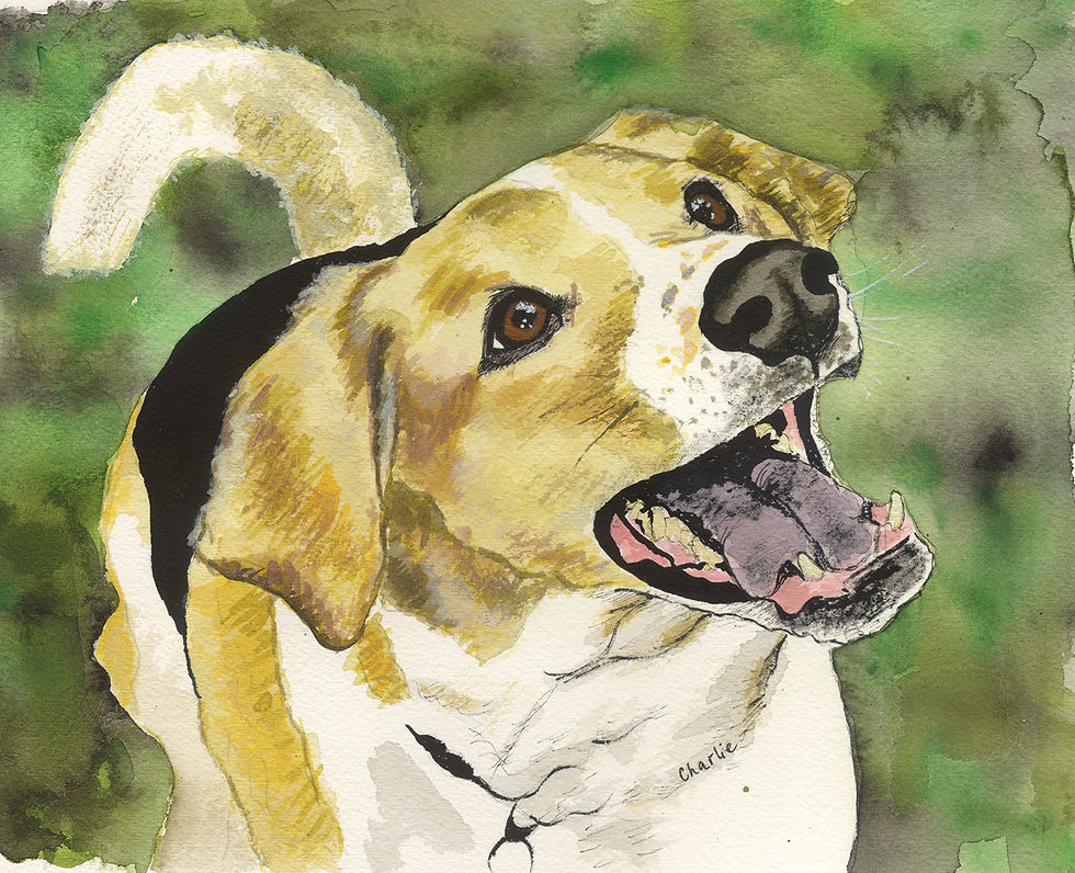Thumbnail: Custom Pet Portrait - Original Painting
