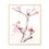 Thumbnail: Cherry Blossoms diptych - Prints