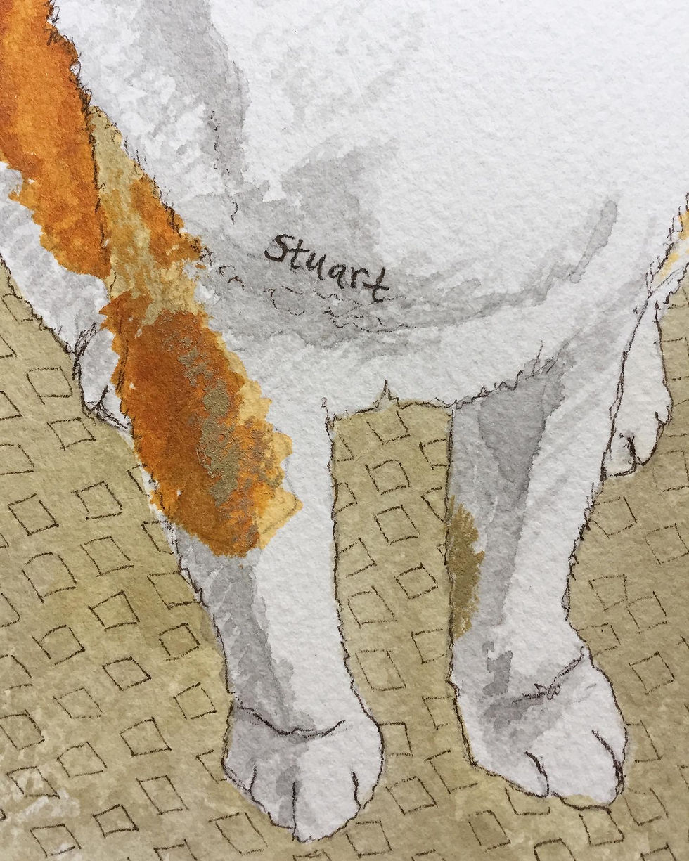 Thumbnail: Custom Pet Portrait - Original Painting