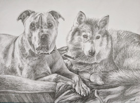 Benji & Sky