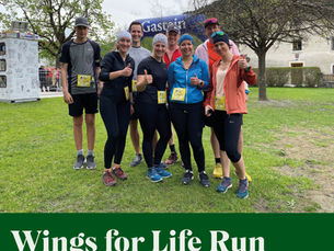 Wings For Life World Run