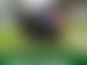 Wings For Life World Run