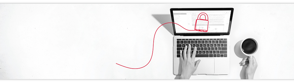 Privacy and Security Banner Image