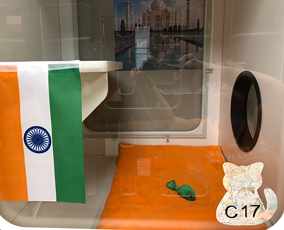 India.png