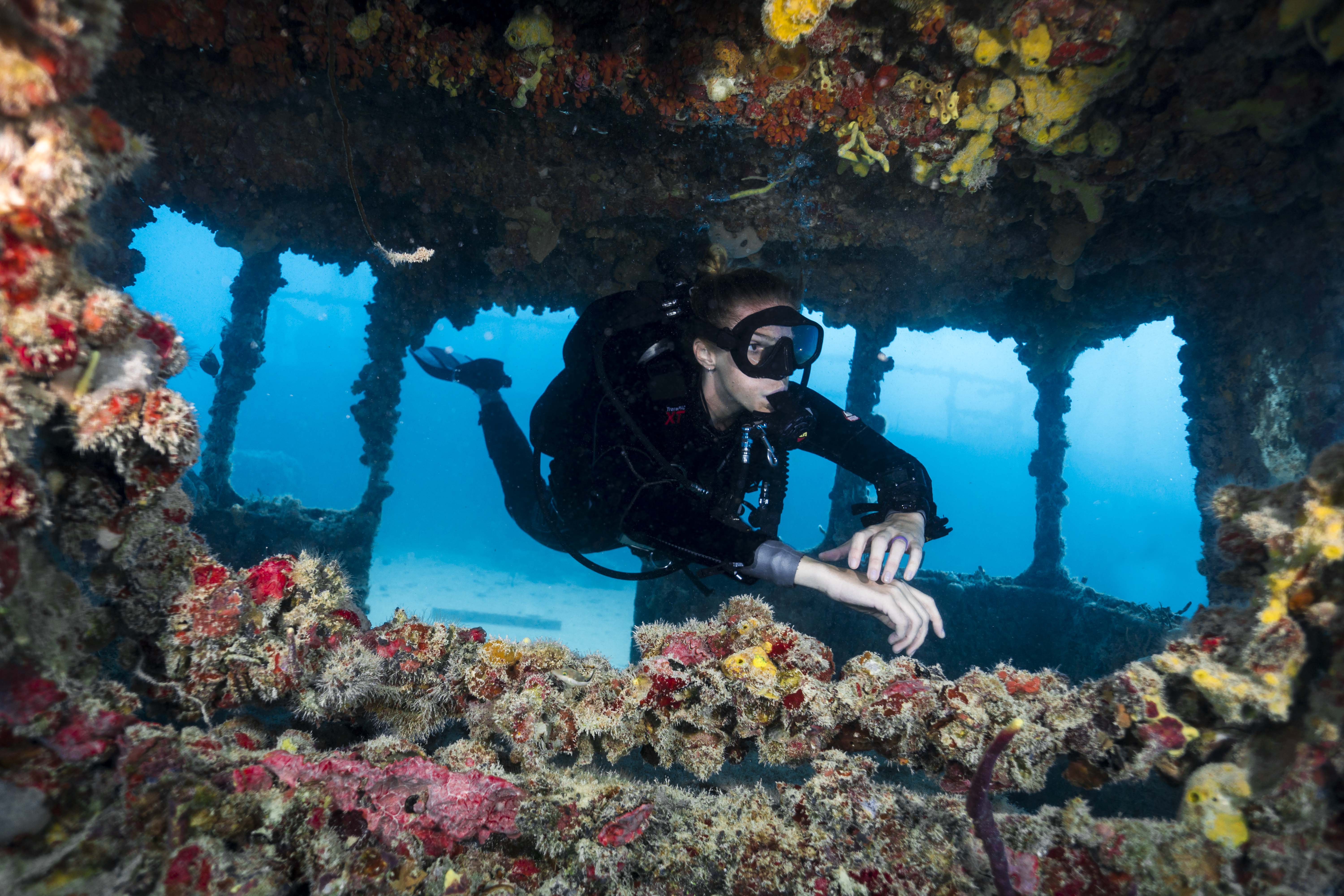 Curso de mergulho Rescue Diver SDI em Guarapari
