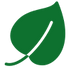 icons8-leaf-100.png
