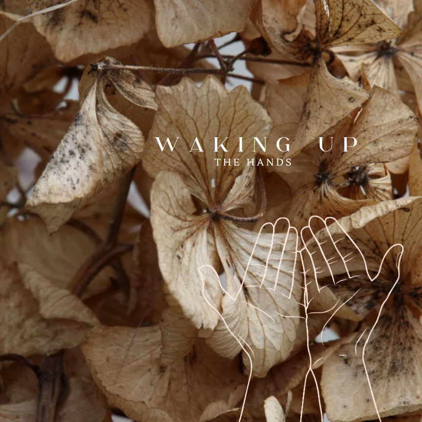 waking up the hands, das Minuten Handspiel, Achtsamkeitsübung, Entspannung, autonomes Nervensystem regulieren, Zur Ruhe kommen, Ruhe