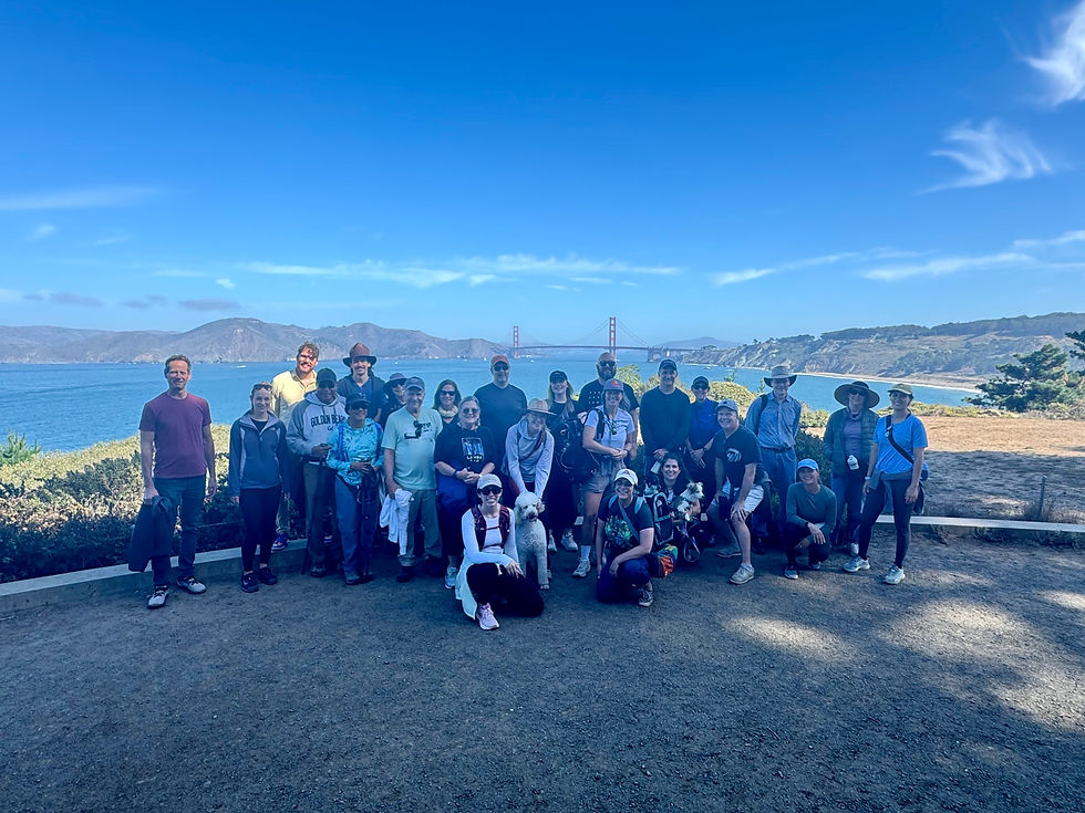 SF Hike: Last Hiking Collab w/ East Bay and Marin CAMFT