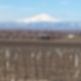 We definitely love this view of Mt Adams