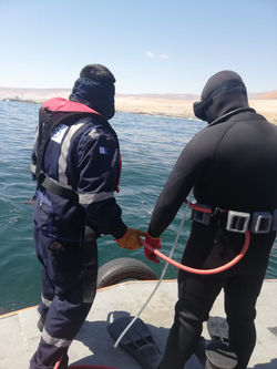 WhatsApp Image 2021-01-29 at 17.56