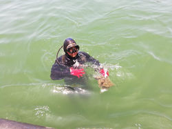 WhatsApp Image 2021-03-28 at 7.09