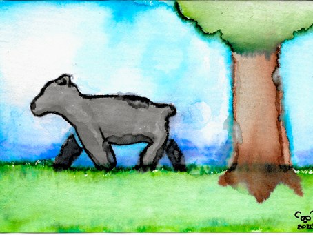 Watercolor Cards: Bear