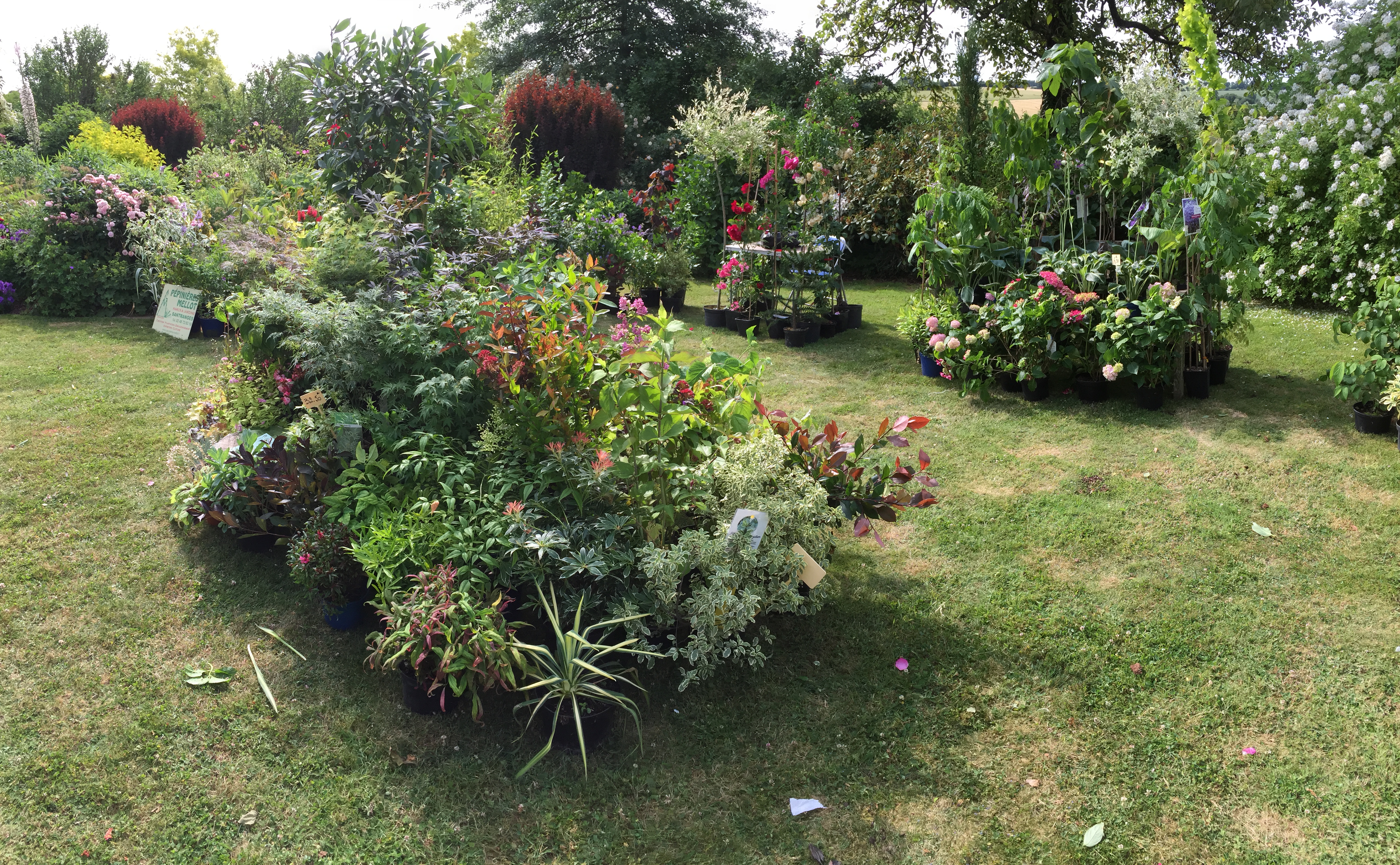 Foire à Neuilly en Sancerre 2016