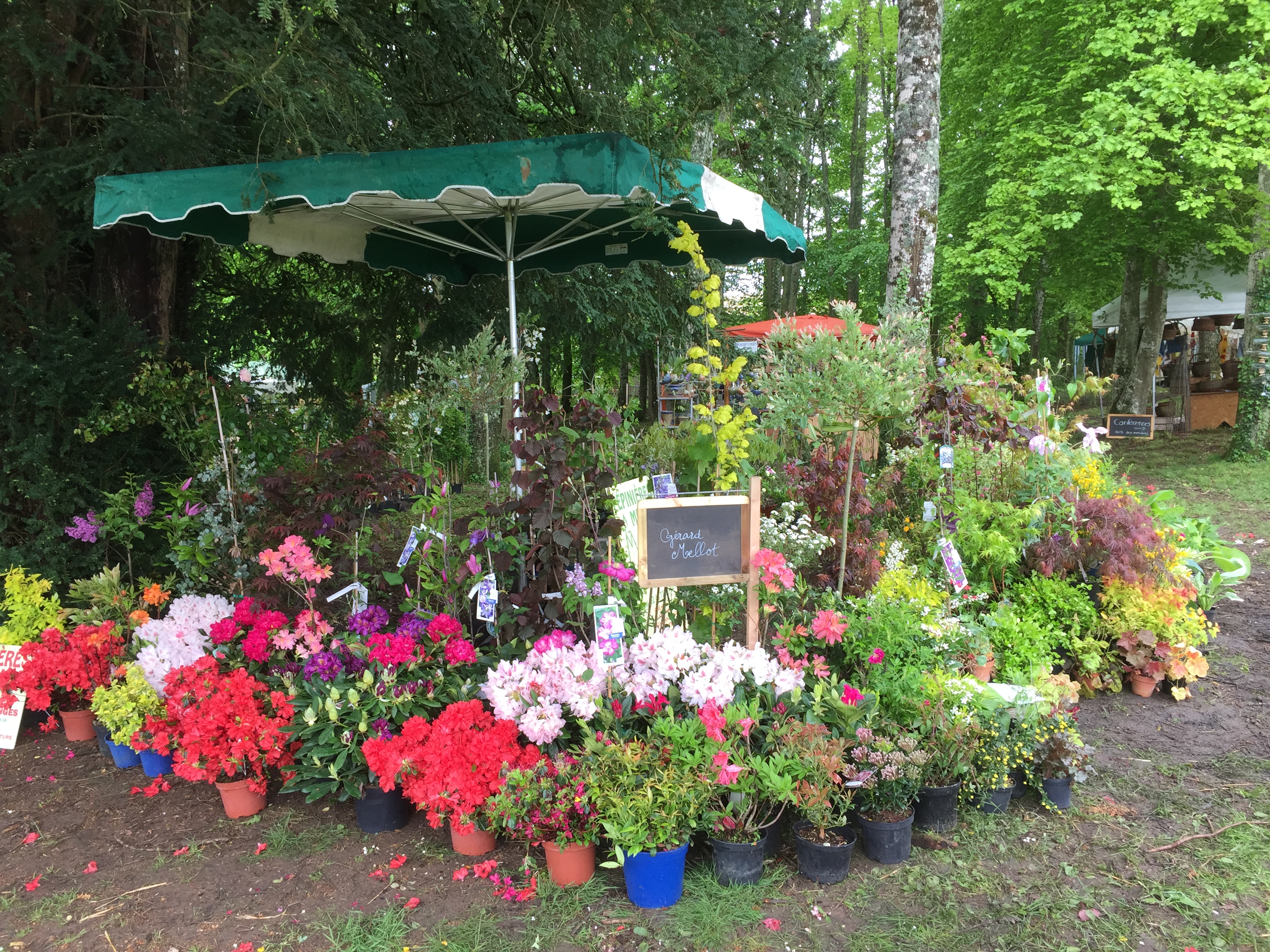 Foire à Morogues 2016