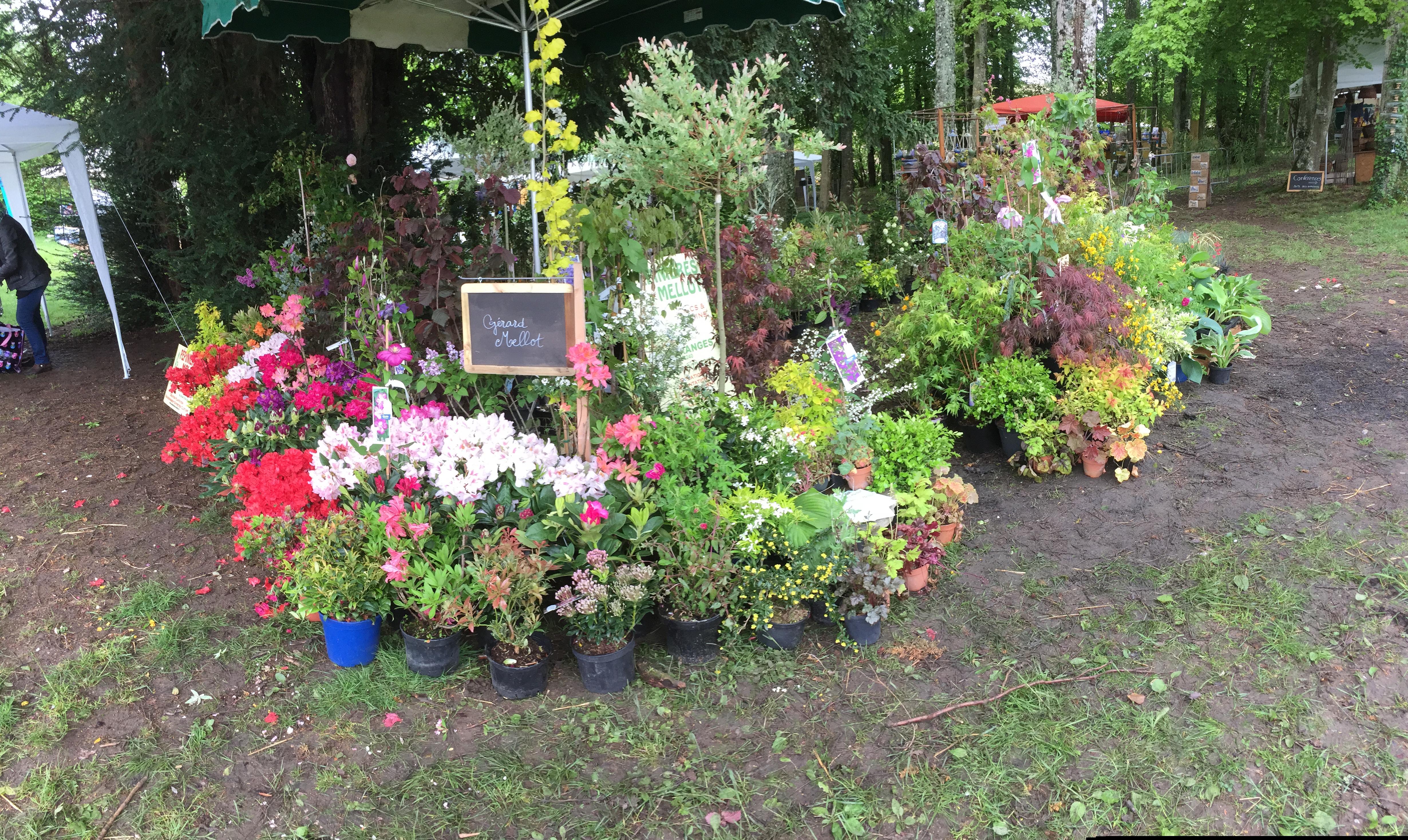 Foire à Morogues 2016