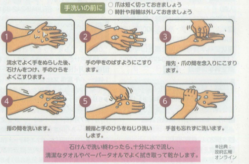 正しい手の洗い方.png